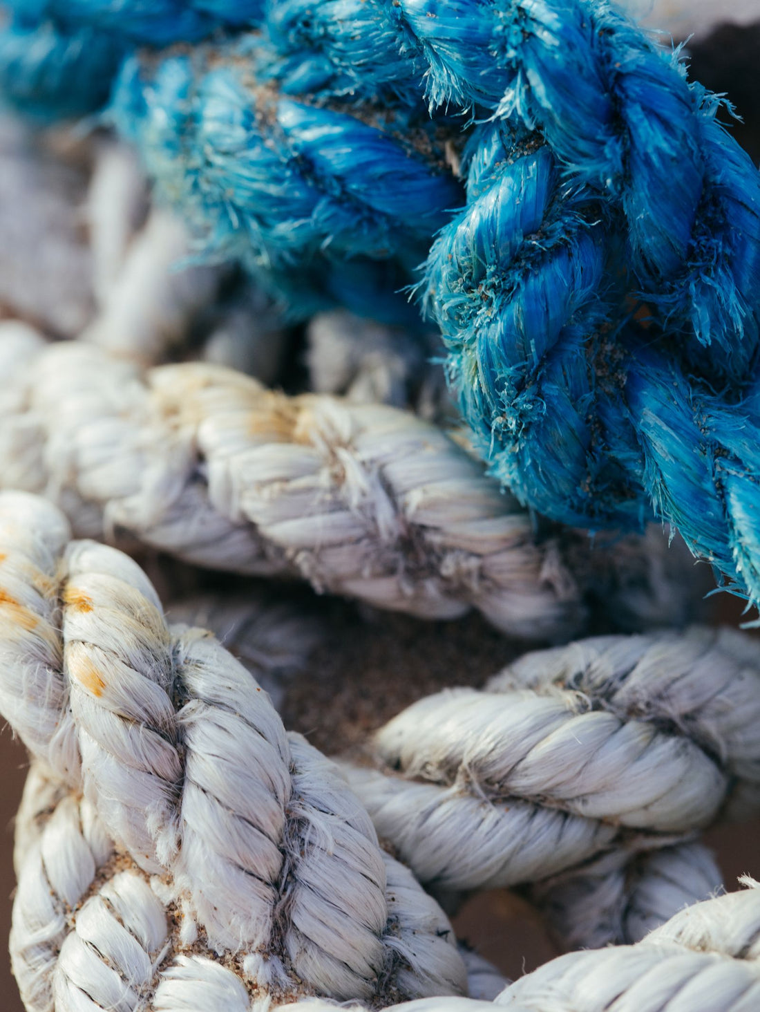 Close up of coiled blue and white rope showing the woven sheath texture