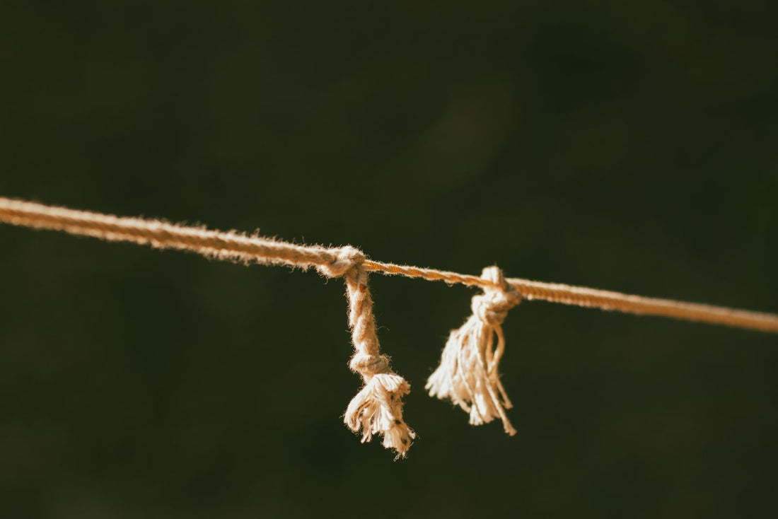 Close up of a frayed rope, the kind of retired climbing rope Forma turns into belts and keychains in Aberdeen