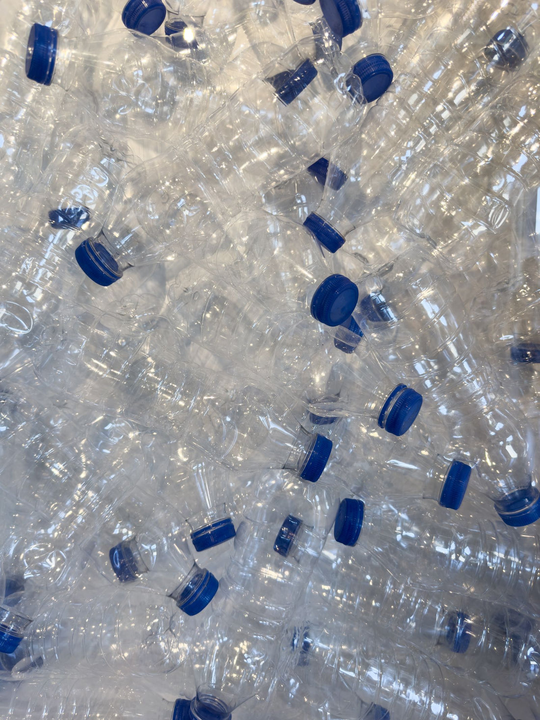 A large pile of empty plastic milk bottles collected for recycling into HDPE