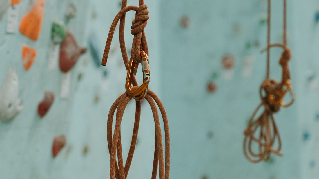 Climbing ropes hanging against an indoor climbing wall, the kind of rope that gets retired and sent to Forma in Aberdeen
