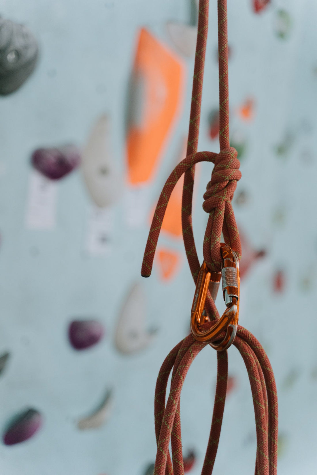 Close-up of colourful climbing ropes with orange carabiners